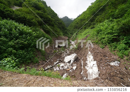 2025年8月6日,在鳥兜山橫跨溪流的佐古川森林道路上,一個雪球正在滾動。 2025年8月6日,在鳥兜山橫跨溪流的佐古川森林道路上,一個雪球正在滾動。 133856216