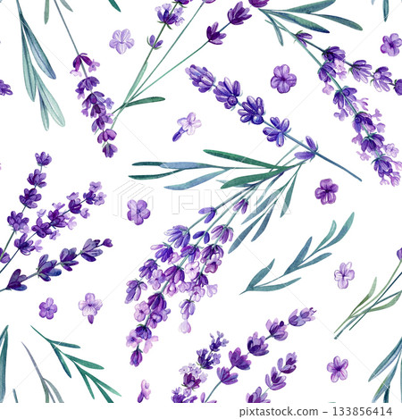 Seamless watercolor lavender pattern with violet flowers botanical herbs and green leaves on white background 133856414