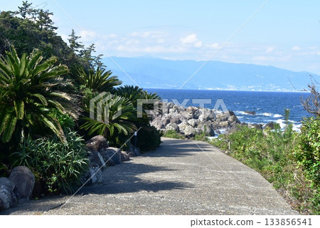 熱海市初島海岸步道與海洋 133856541