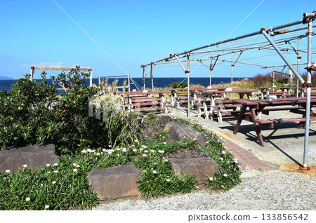 熱海市：初島的海岸步道、休息區與海洋 133856542