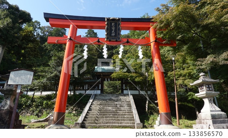 鳥居 鳥居 133856570