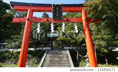 Torii 133856571