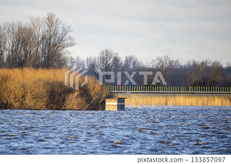 Flooded bird hide surrounded by high water at Eemmeer in Eempolder, Netherlands during a quiet afternoon Flooded bird hide surrounded by high water at Eemmeer in Eempolder, Netherlands during a quiet afternoon 133857097