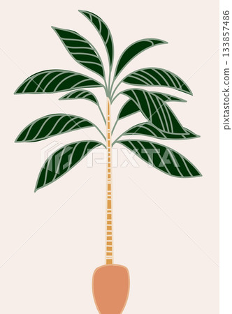 Illustration of a tall palm tree with a textured trunk and green fronds on beige. Illustration of a tall palm tree with a textured trunk and green fronds on beige. 133857486