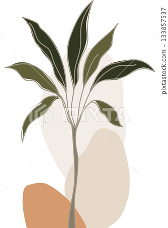 A slender plant with long leaves layered over abstract beige and cream shapes. 133857537