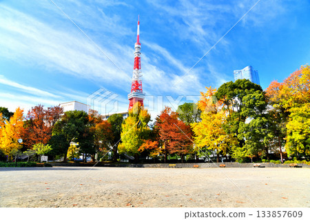 View of the Tokyo Prince Hotel from Shiba Park No. 4 Plaza (Minato Ward, Tokyo) [November 2025] 133857609