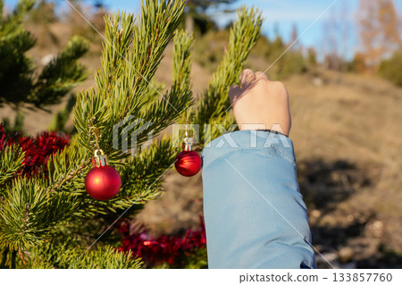 Close-up view of a hand placing a round Christmas ornament on an outdoor tree. Holiday decorating, winter atmosphere, festive preparations, family tradition, and seasonal celebration. Close-up view of a hand placing a round Christmas ornament on an outdoor tree. Holiday decorating, winter atmosphere, festive preparations, family tradition, and seasonal celebration. 133857760