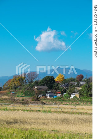茅崎里山公園附近寧靜的秋日景色 133857849
