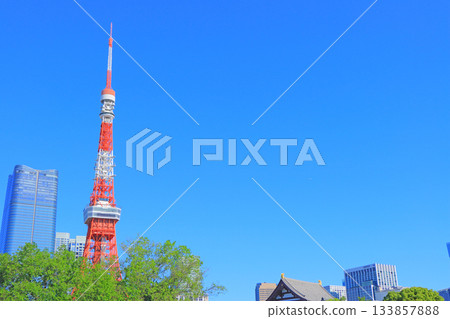 Tokyo Tower and fresh greenery in Minato-ku, Tokyo 133857888