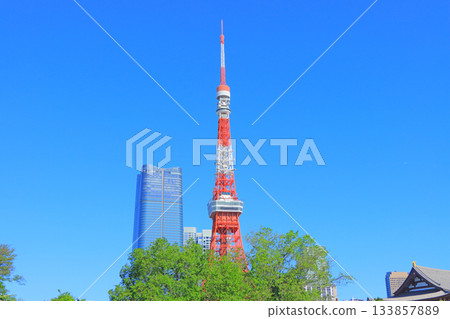 Tokyo Tower and fresh greenery in Minato-ku, Tokyo 133857889