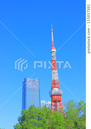 Tokyo Tower and fresh greenery in Minato-ku, Tokyo 133857891
