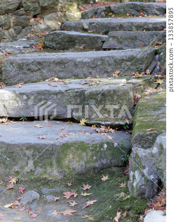 深秋時節,清水寺本坊庭園的石階上鋪滿了落葉。 深秋時節,清水寺本坊庭園的石階上鋪滿了落葉。 133857895