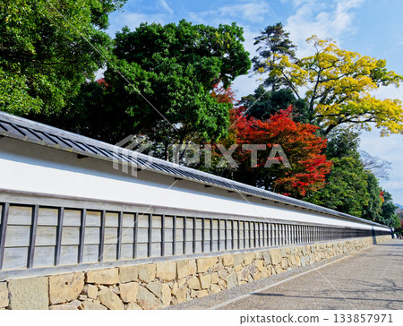 Scenery of Genkyu Rakurakuen Garden, the former feudal lord's residence at Hikone Castle Scenery of Genkyu Rakurakuen Garden, the former feudal lord's residence at Hikone Castle 133857971