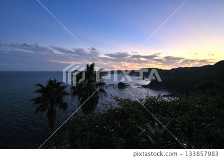 The silhouette of palm trees in Izu seen from the Ogasaki Wing The silhouette of palm trees in Izu seen from the Ogasaki Wing 133857983