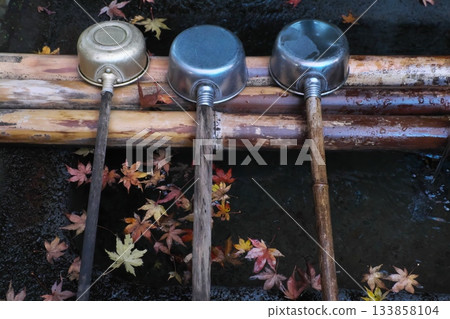 深秋時節，大遊山西丈寺的丁頭屋（淨身泉）上漂浮著楓葉。 133858104