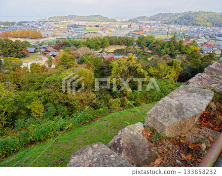 Hikone cityscape from the main enclosure of Hikone Castle 133858232