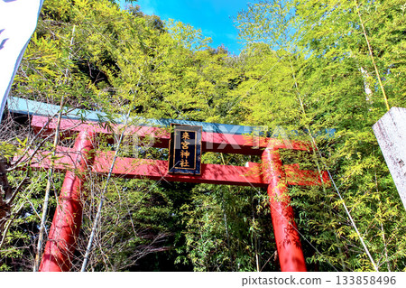 【靜岡】冬日熱海：木之宮神社鳥居 133858496