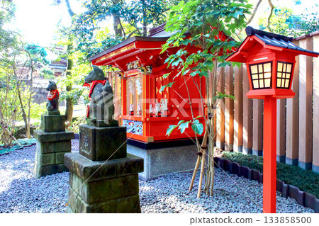[Shizuoka] Atami in winter: Kinomiya Inari Shrine in the grounds of Kinomiya Shrine 133858500