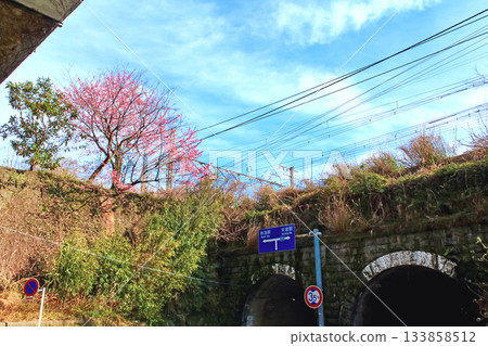 【靜岡】冬季熱海：木宮神社前的立體交叉 133858512