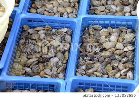 Market shellfish Market shellfish 133858680
