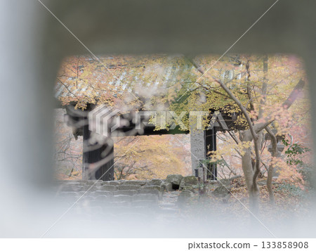 Late autumn, Akizuki Castle ruins, Kuromon gate surrounded by autumn leaves seen from a stone lantern Late autumn, Akizuki Castle ruins, Kuromon gate surrounded by autumn leaves seen from a stone lantern 133858908