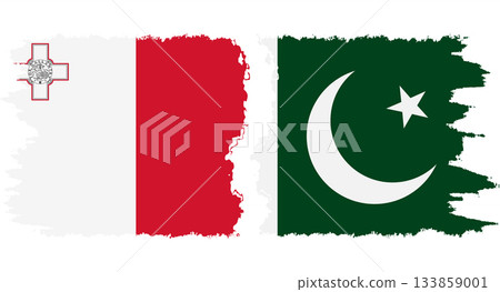 Pakistan and Malta grunge flags connection vector 133859001