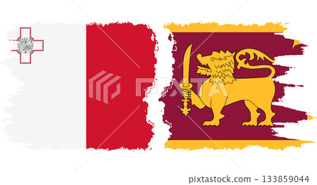 Sri Lanka and Malta grunge flags connection vector Sri Lanka and Malta grunge flags connection vector 133859044