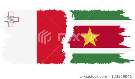 Suriname and Malta grunge flags connection vector Suriname and Malta grunge flags connection vector 133859046