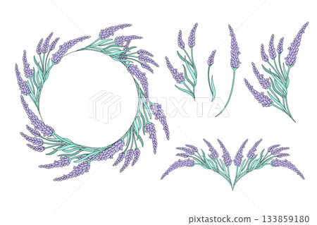 Lavender wreath and floral elements. Hand-drawn botanical illustration for invitations, cards, packaging and logo design. Lavender wreath and floral elements. Hand-drawn botanical illustration for invitations, cards, packaging and logo design. 133859180