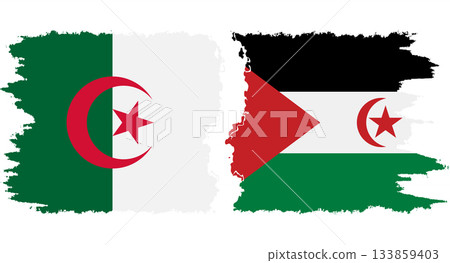 Western Sahara and Algeria grunge flags connection vector Western Sahara and Algeria grunge flags connection vector 133859403