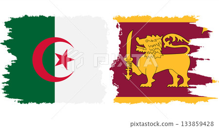 Sri Lanka and Algeria grunge flags connection vector 133859428