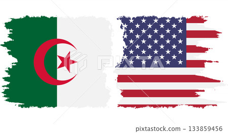 USA and Algeria grunge flags connection vector USA and Algeria grunge flags connection vector 133859456