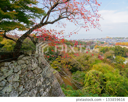 Hikone cityscape from the main enclosure of Hikone Castle 133859616