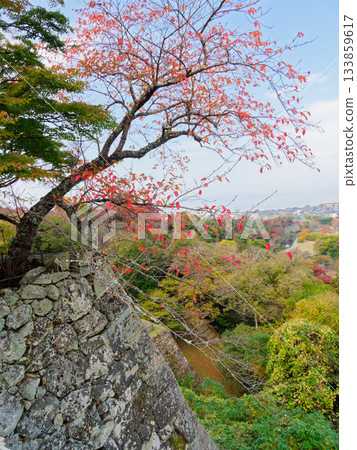 從彥根城主城眺望彥根城市景觀 133859617