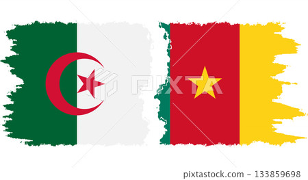 Cameroon and Algeria grunge flags connection vector 133859698