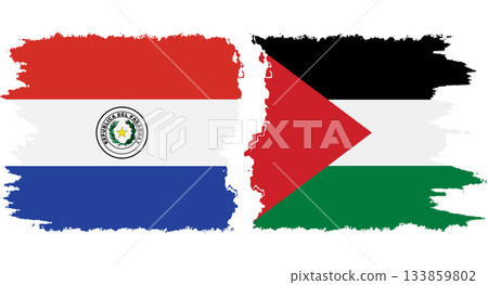 Palestine and Paraguay grunge flags connection vector 133859802