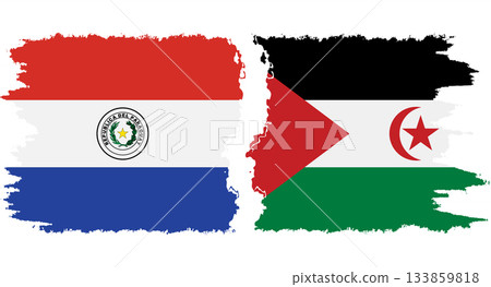 Western Sahara and Paraguay grunge flags connection vector 133859818