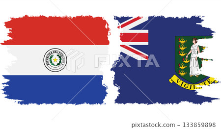 British Virgin Islands and Paraguay grunge flags connection vector British Virgin Islands and Paraguay grunge flags connection vector 133859898