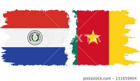 Cameroon and Paraguay grunge flags connection vector 133859904