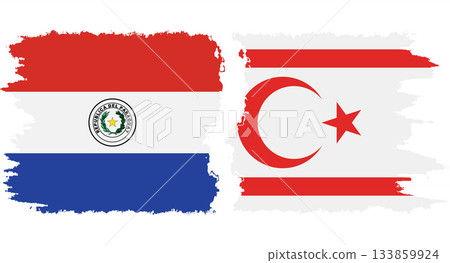 Turkish Republic of Northern Cyprus and Paraguay grunge flags conne Turkish Republic of Northern Cyprus and Paraguay grunge flags conne 133859924
