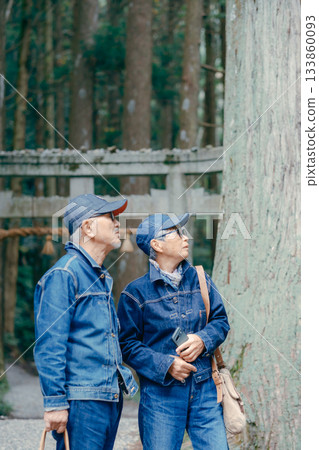 一對老年夫婦在神社附近散步。 一對老年夫婦在神社附近散步。 133860093