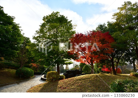 風景與秋天的落葉 133860230