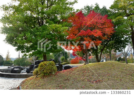 有秋葉的一個公園 133860231