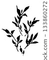 Set of black ink silhouettes showing leafy branches on a white background. 133860272