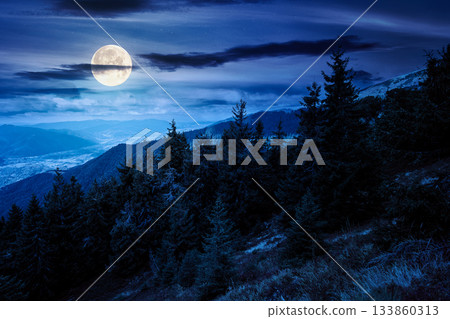 coniferous forest in mountain landscape at night. scenic place in national park in full moon light. panoramic view of valley and lush green slope. background image for investment or abstract concepts 133860313