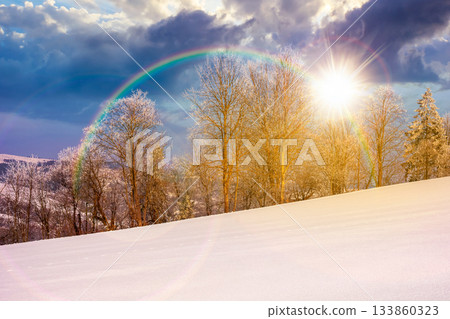 trees in hoarfrost on snow covered meadow at sunset. beautiful mountainous countryside landscape in evening light. cold winter atmosphere. leadership corporate wallpaper under the rainbow trees in hoarfrost on snow covered meadow at sunset. beautiful mountainous countryside landscape in evening light. cold winter atmosphere. leadership corporate wallpaper under the rainbow 133860323