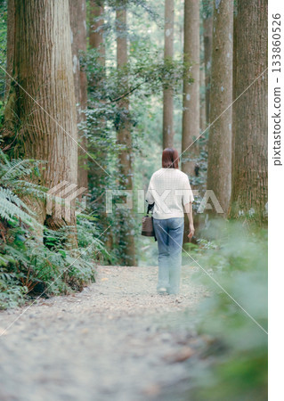 A woman walking through a cedar forest on a pilgrimage 133860526