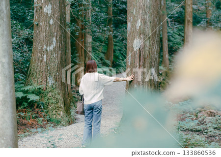 A woman walking through a cedar forest on a pilgrimage 133860536