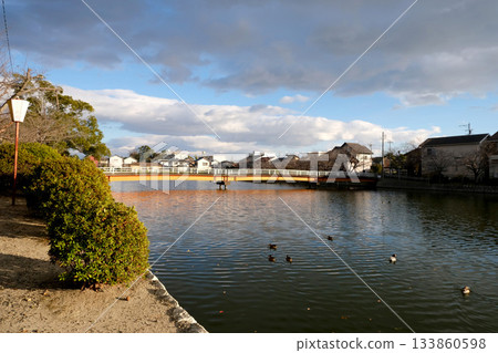 Kuwana City, Mie Prefecture_Kyuka Park 8_December 2024 133860598
