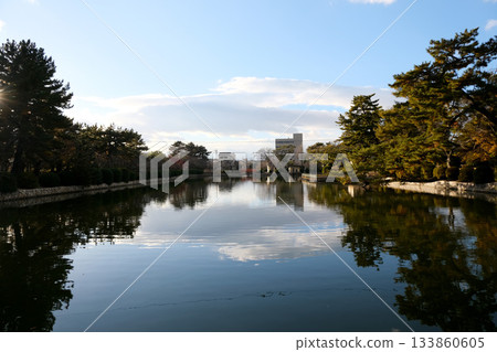 三重縣桑名市_休華公園15_2024年12月 三重縣桑名市_休華公園15_2024年12月 133860605